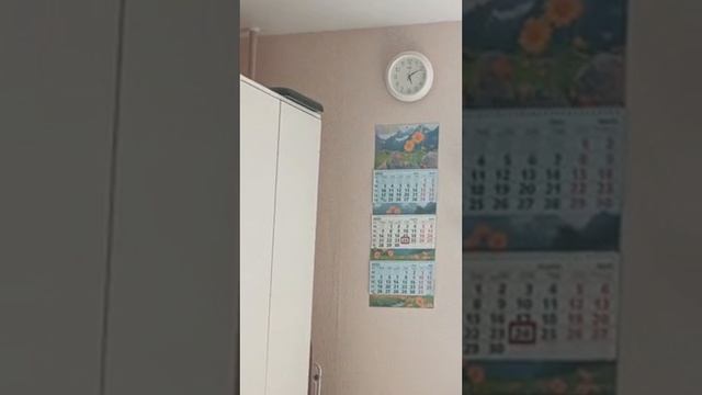 24.04.25/17:05 Долбят