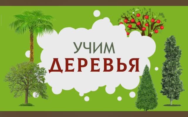 Карточки Домана. Деревья. Глобальное чтение. Учимся говорить. Запуск речи.
