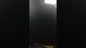 едем домой
