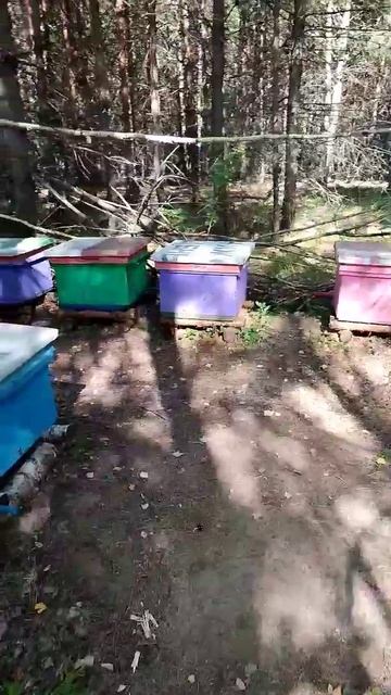 как важно делать всё вовремя смотреть онлайн