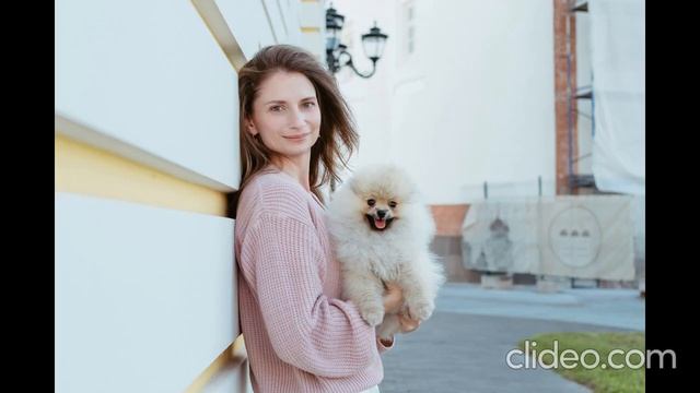 Шпиц немецкий той "Найс" от 2-х месяцев до года