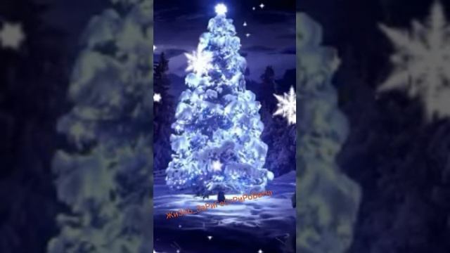 Новая песня 2021❄ Аджара Гуджу Иууууу 😎 .С наступающем всех🌲❄❤ смотреть онлайн