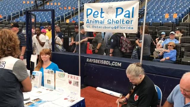 Visiting Tampa Bay Rays Fan-Fest 2019! Major League Baseball Is Around The Corner!