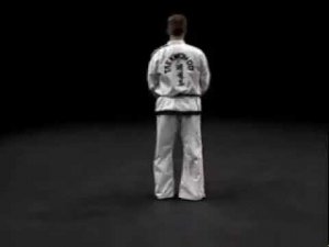 Саджу Чируги видео тхэквондо туль белый пояс 1 комплекс 10(2) гып хьенг Saju Jirugi вид сзади спорт