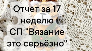 отчет за 17 неделю СП "Вязание это серьёзно"
