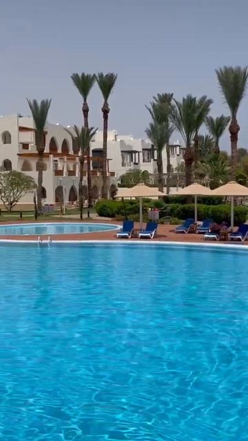 Egypt. Albatros Royal Grand. Sharm el Sheikh. Египет. Шарм эль Шейх. Апрель 2022. Бухта Хадаба смотреть онлайн