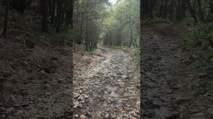 Поход к водопаду Голдоридон