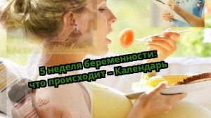 5 неделя беременности: что происходит – Календарь