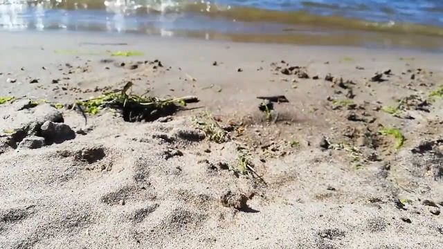 Отдыхаю на Волге смотреть онлайн