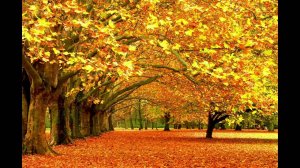 Времена года для детей (Осень)