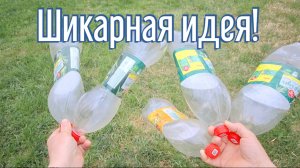 Почему я Раньше до этого не додумался, Как сделать Органайзер для банок за 3 минуты!