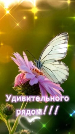 доброго утра