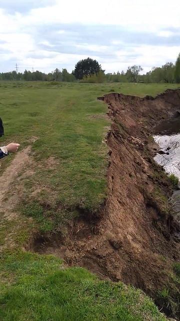 Дерево ростущее на искосок на берегу реки Клязьма смотреть онлайн