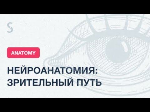 USMLE Step 1 - Нейроанатомия: зрительный путь.  Межъядерная офтальмоплегия.