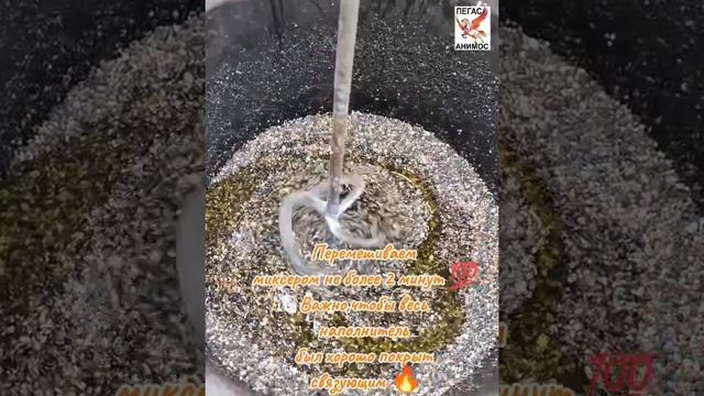 VID-20250427-WA0041.mp4