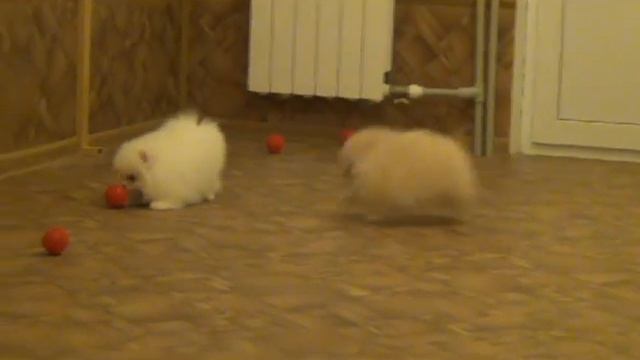 Луна и Юрка смотреть онлайн