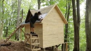 построил красивый домик в лесу