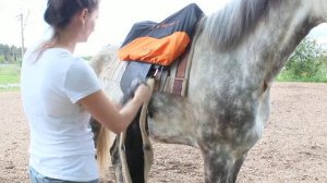 Подпруга и приструга обратная сторона