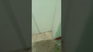 Обзор на лифт в 9-этажном доме. Мытищи