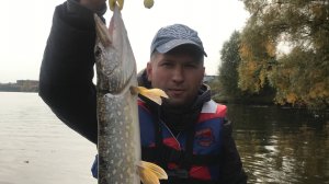 Осень ЖОР ЩУКИ  нижняя Москва река!