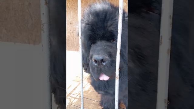 ДОБРОЕ УТРО СТРАНА !!!☀ 🌝⏰❤ смотреть онлайн