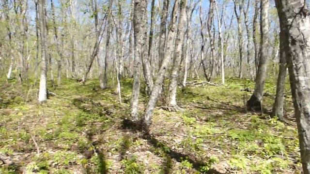 Машук, 24 апреля. смотреть онлайн