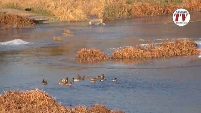 Погода на выходные