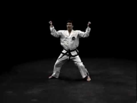 Тэ Ге видео тхэквондо туль красный пояс 2 гып, хьенг 37 движений комплекс Toi Gye вид сзади спрот смотреть онлайн