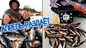 АПРЕЛЬ РАЗДАЁТ