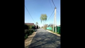 Весна цветение