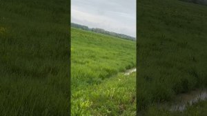 Ну здравствуй не солнечный Майкоп🤗