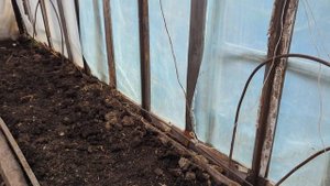 Начинаю огородный сезон. Первые попытки