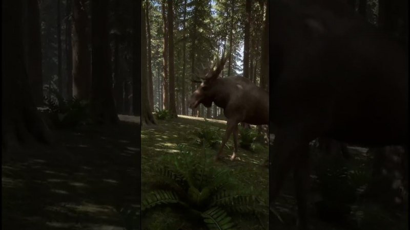 Животное Лось в Sons of the Forest #shorts #sonsoftheforest #forest