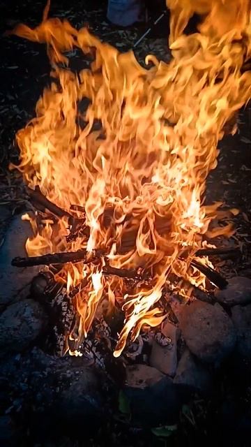 сострадание и любовь появляются там, где нет «я» и «моё» #АджанБуддадаса смотреть онлайн