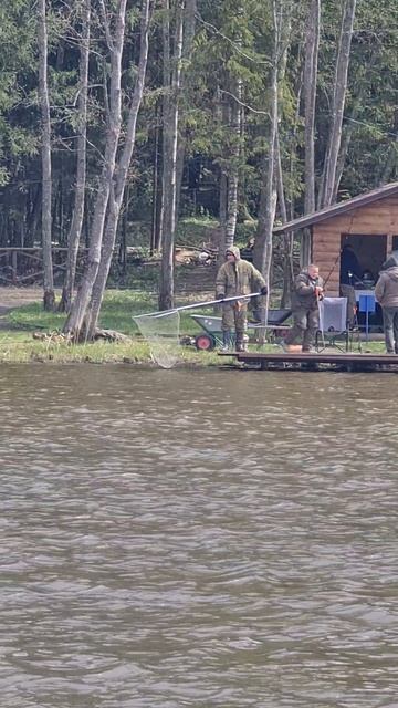 Поимка карпа смотреть онлайн