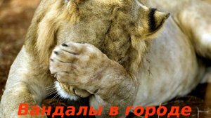 Вандалы в Электростали_Light