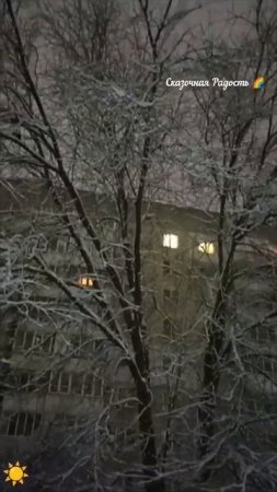 Двор зимой 2025 год