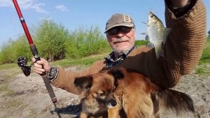 Жизнь в деревне  - Выпуск от 27.04.2025. Пластинки радуют, Соня довольна