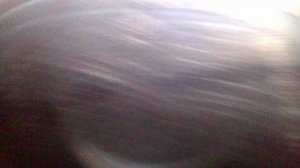 Эндоскопия Toyota Avensis 2001 1ZZFE Odo 250000 Цилиндр 1