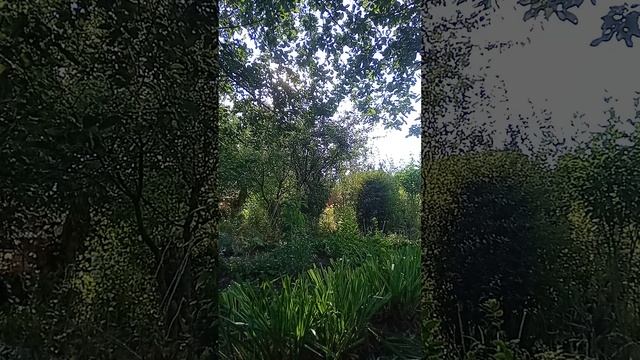 Таро.Что происходит в жизни мужчины. смотреть онлайн