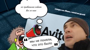 Кане корсо не признали собакой. Скандал