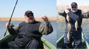 ЧЕТЫРЕ РЫБИНЫ ЗА РАЗ, ПРИЧЕМ ОЙ КАКИЕ ЭКЗЕМПЛЯРЫ