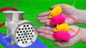 Веселые мышки  смотреть видео для детей