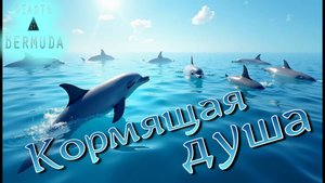 Репродукция под толщей воды! Beasts of Bermuda