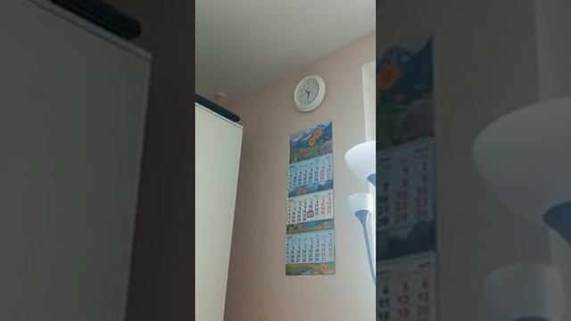24.04.25/10:30 Долбят