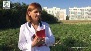 Удобрение Муфкаль гель | "ИНСТИТУТ ЗАЩИТЫ РАСТЕНИЙ" | Отзывы специалистов