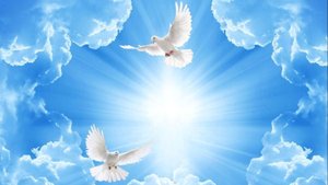 ЕЛЕНА ФРОЛОВА НЕ УЛЕТАЙ ВВЫСЬ...