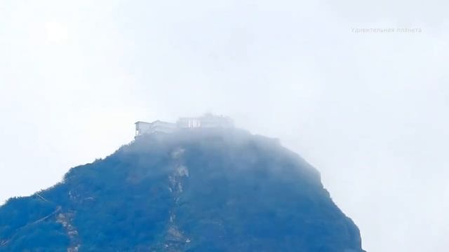 Шри - Ланка. Интересное о необычном острове. смотреть онлайн