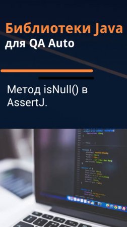 Библиотеки Java для QA Auto. Базовые проверки AssertJ - isNull().