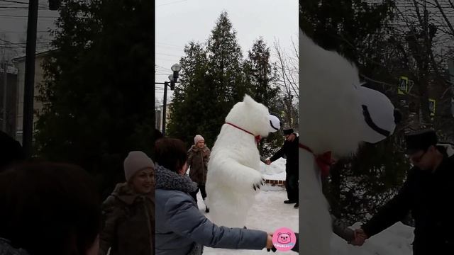 Белый мишка Снежок поздравил девушку КСЕНИЮ.